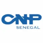 logo cnp
